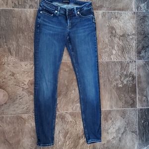 Silver Tuesday Skinny Jeans